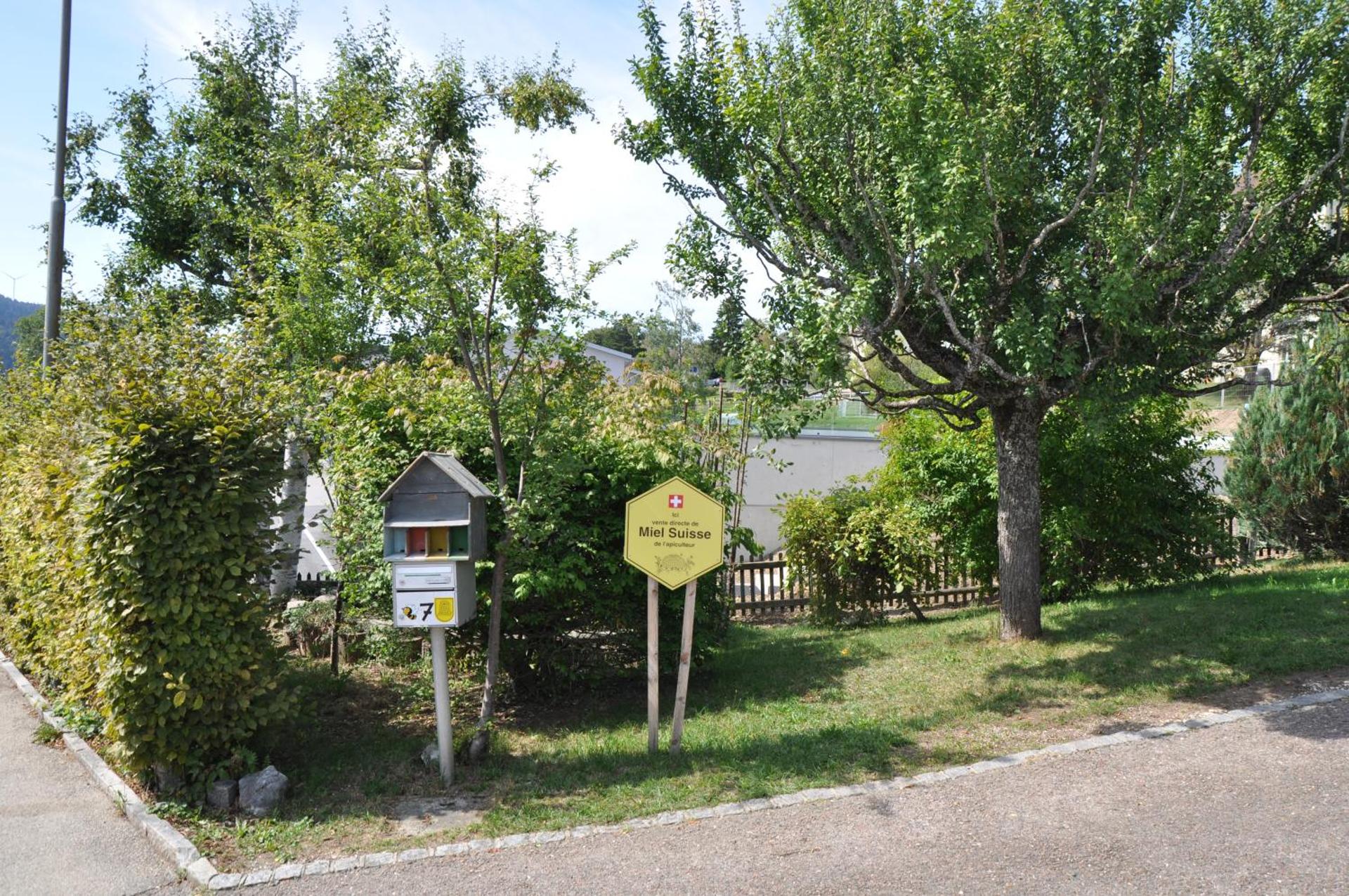 Logo/Certificate/Sign