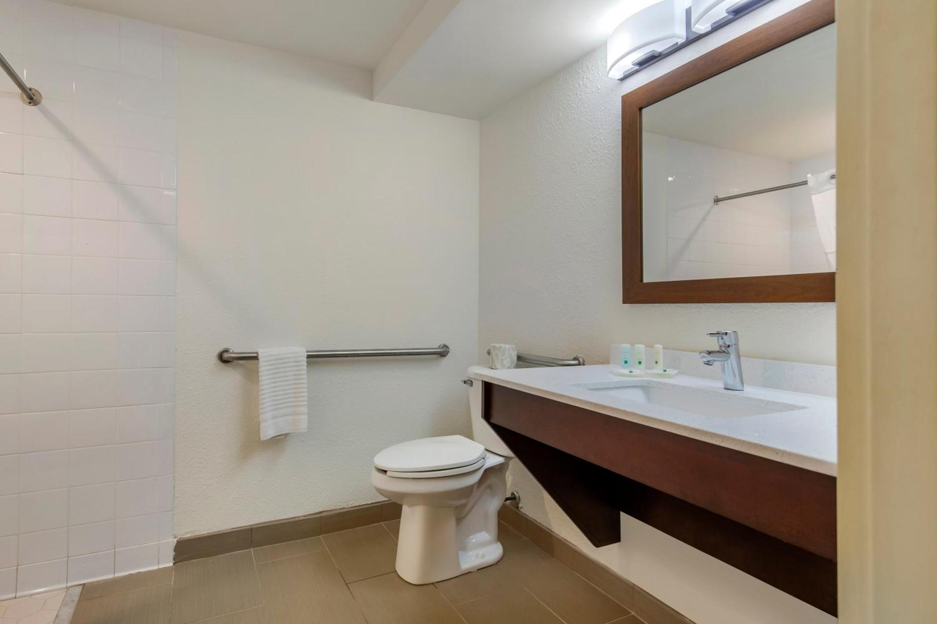 King Room - Accessible/Non-Smoking