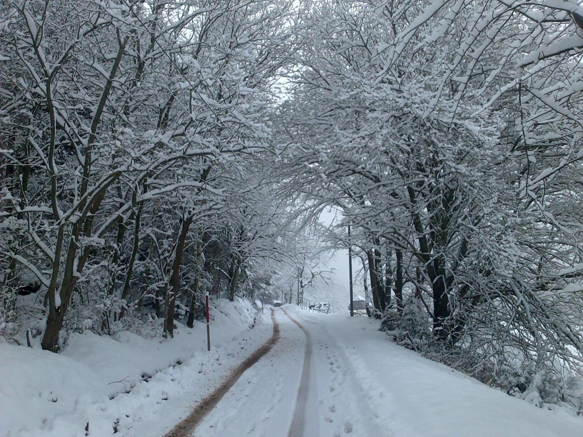 NORDIQUES DE LA WELCHE