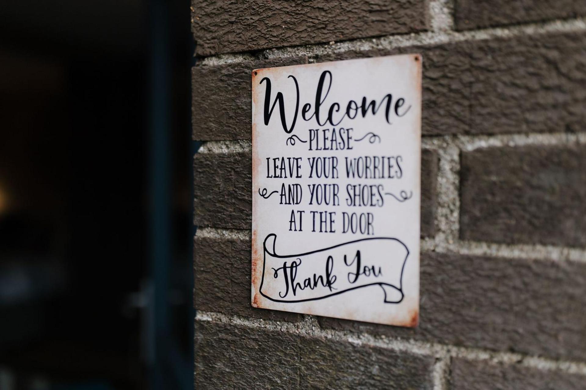 Seagulls Nest Northern Ireland