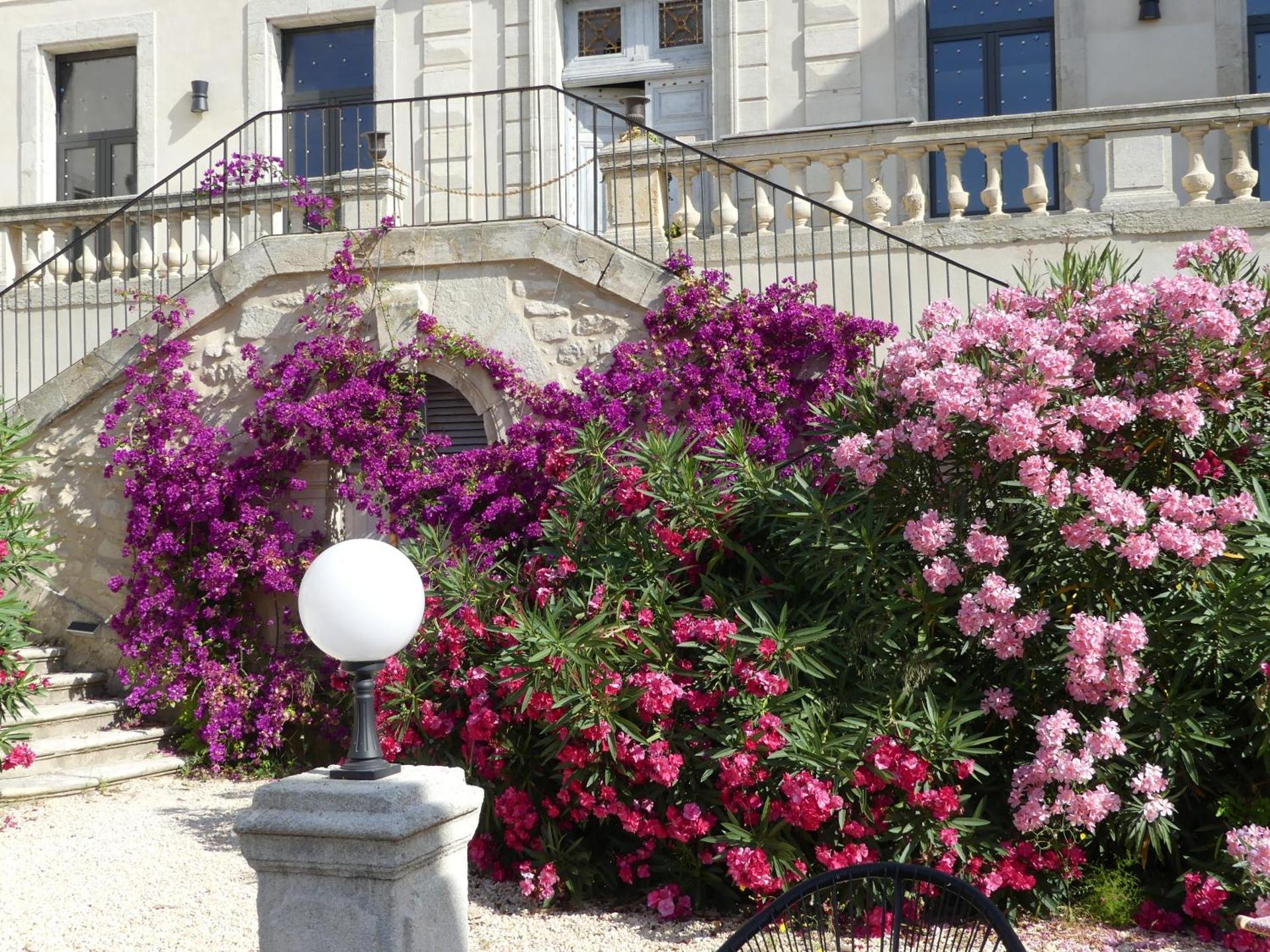 Domaine de la Vidalle