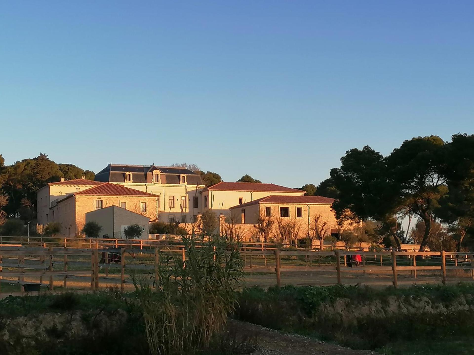 Domaine de la Vidalle