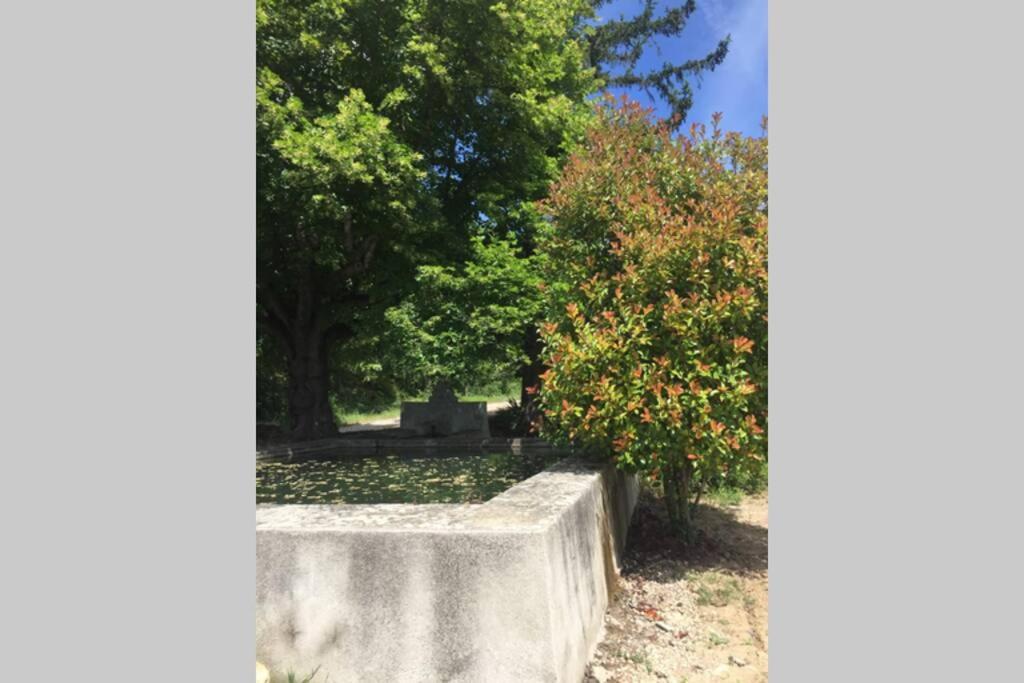 Cabanon de charme en plein coeur des vignes