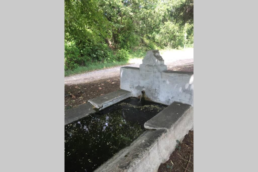 Cabanon de charme en plein coeur des vignes
