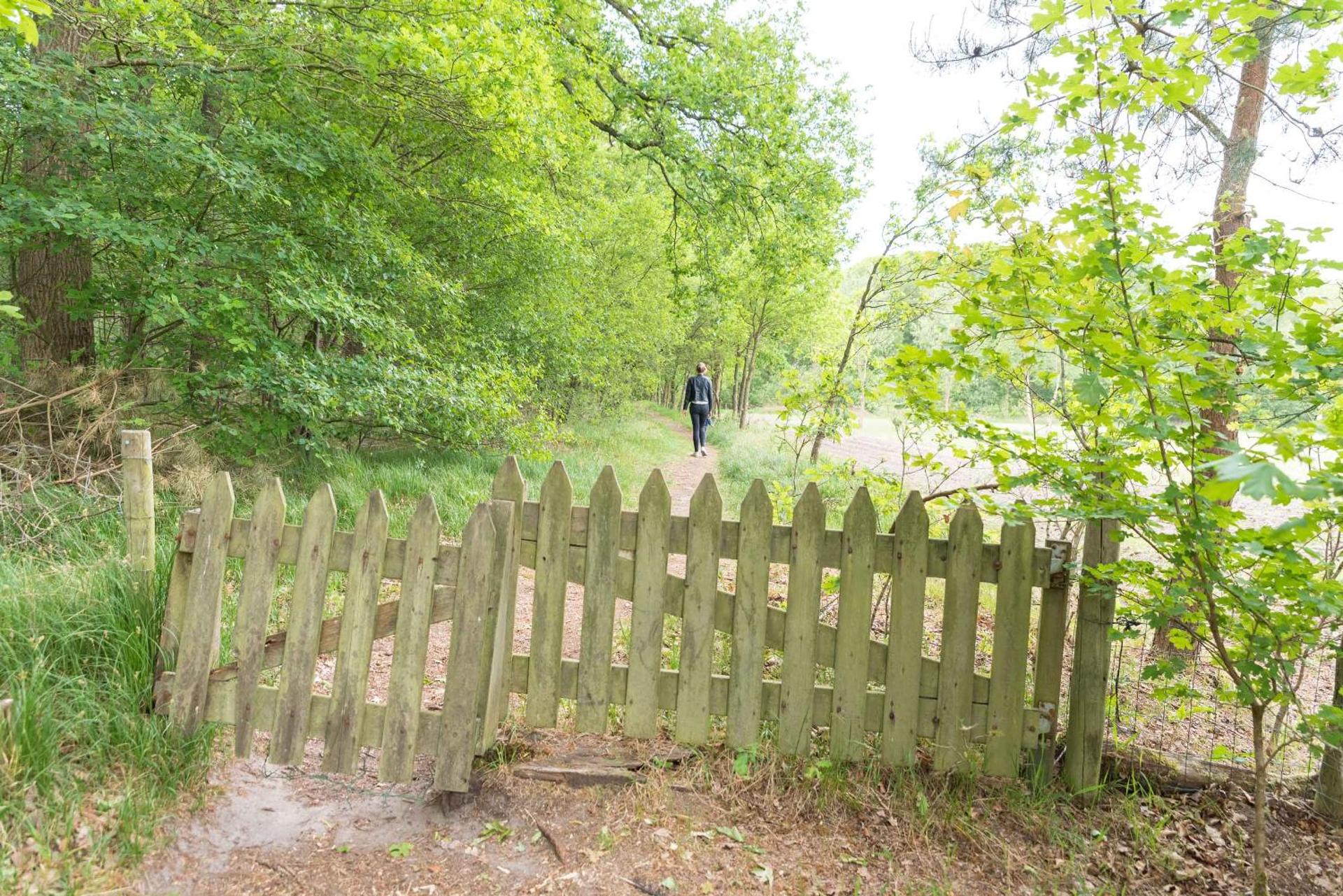 Vakantiehuis De Schaapskooi