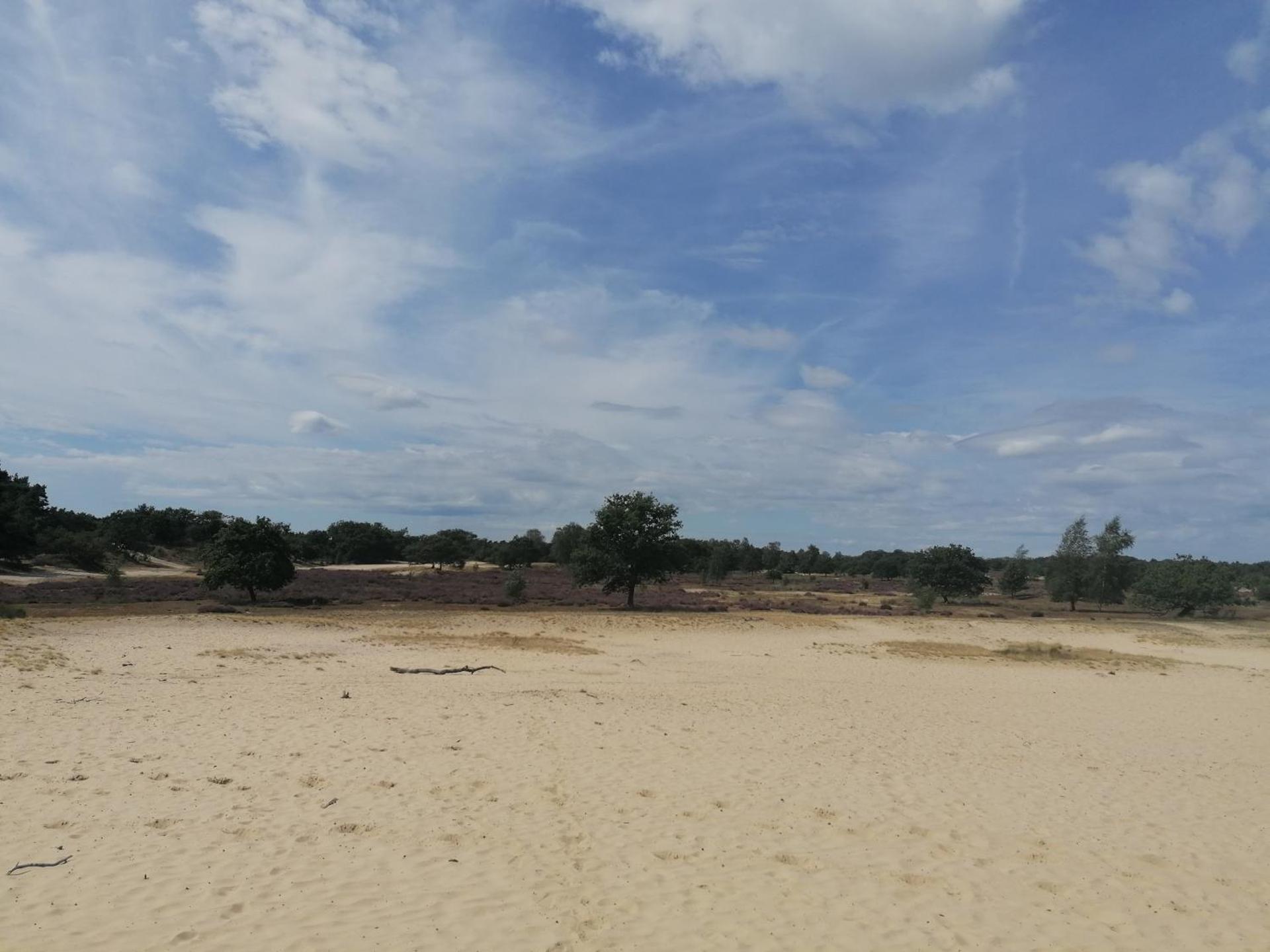 Vakantiehuis De Schaapskooi