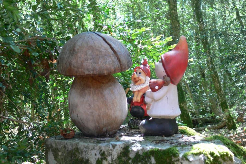 l'Empereur - La Maïsou