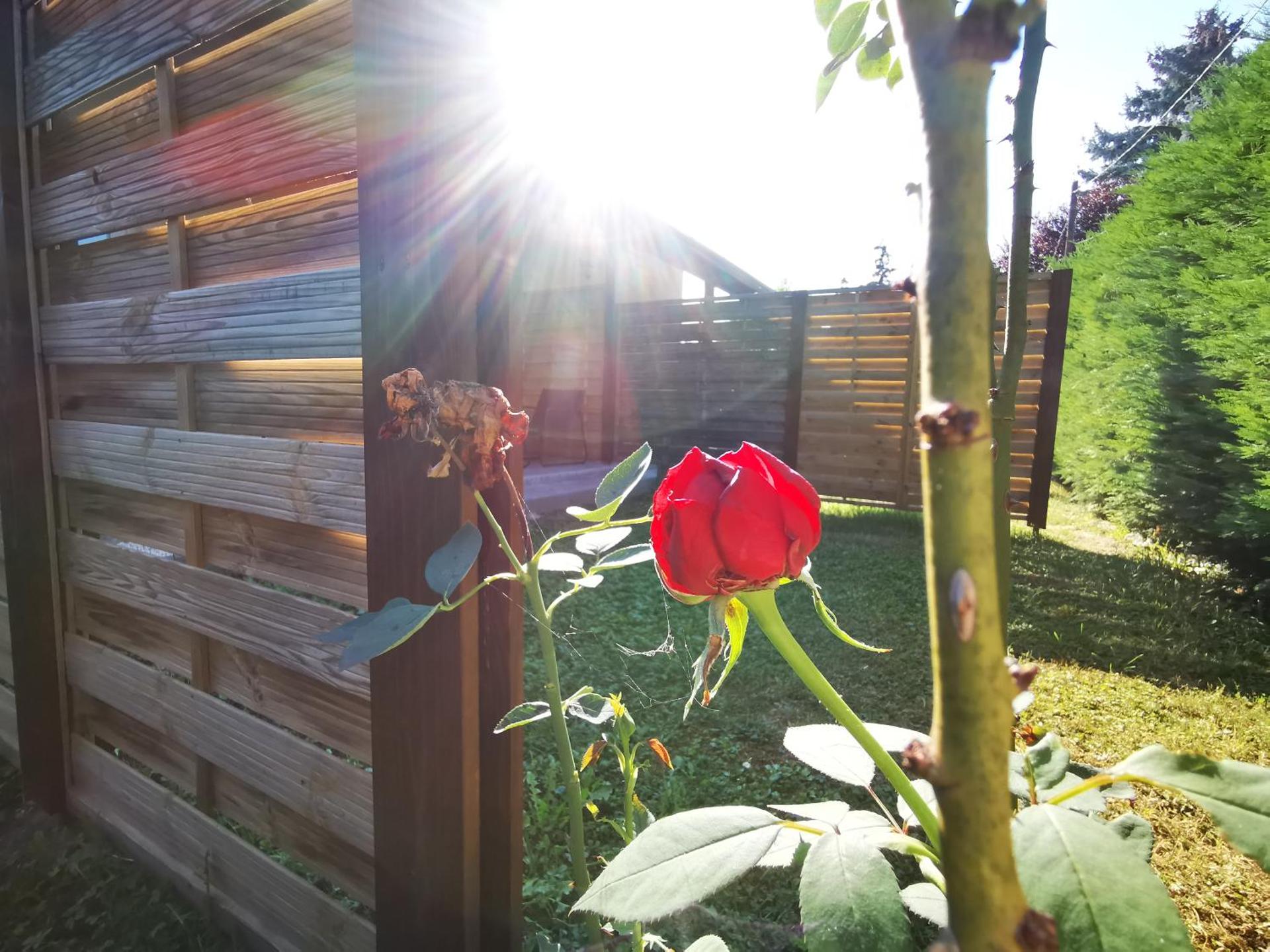 Vali néni kifőzde és apartman