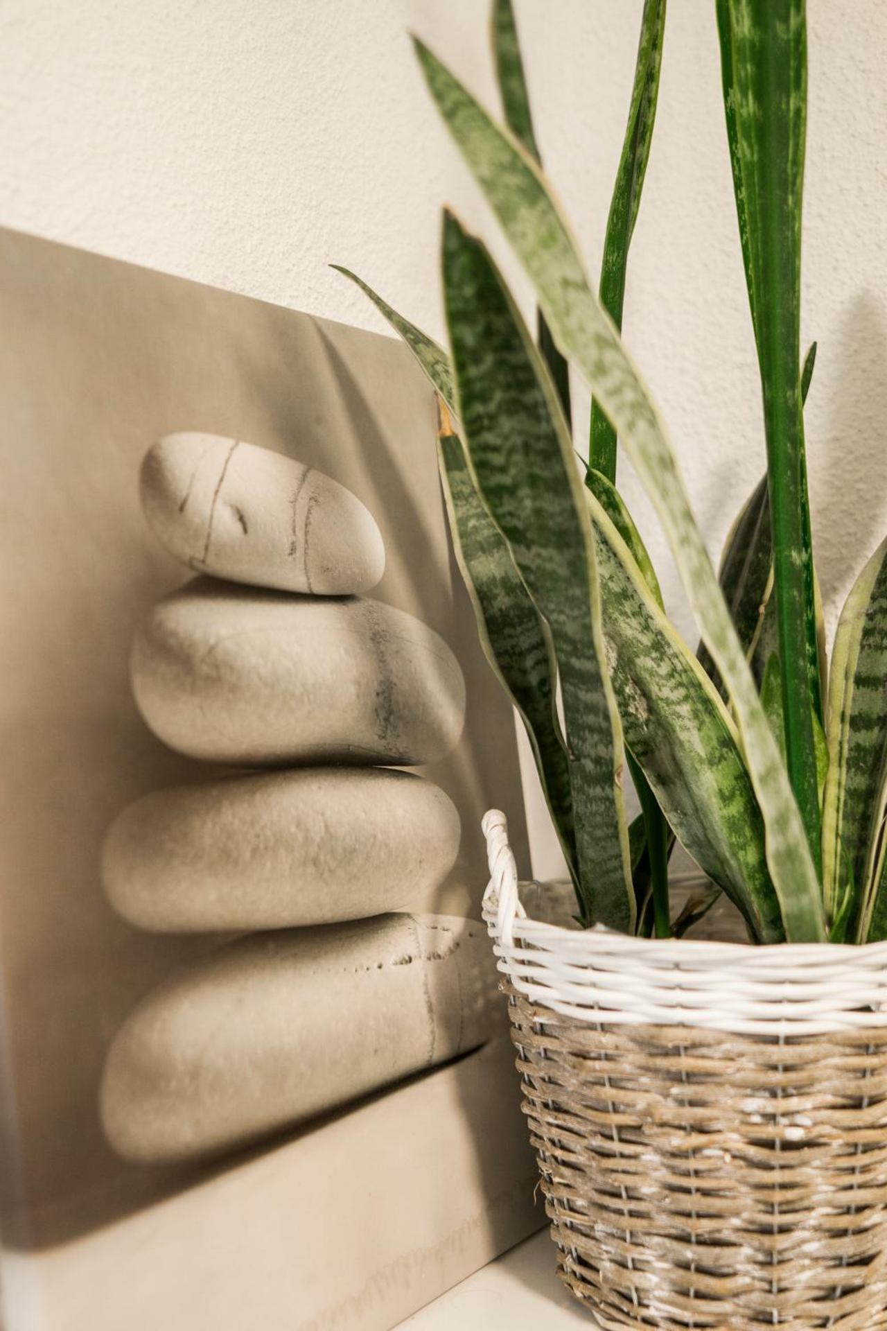 Basic Triple Room with Shared Bathroom