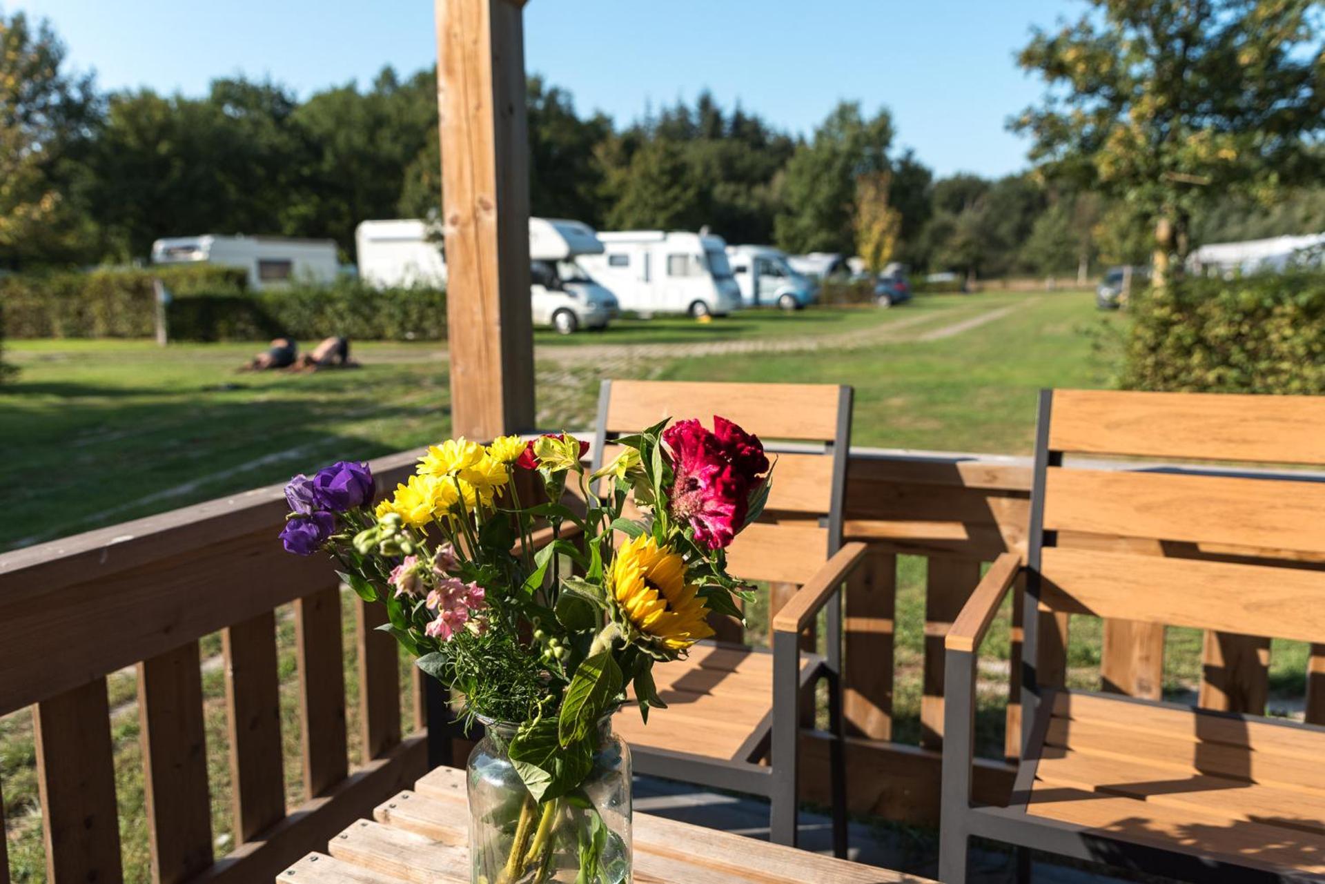 Vakantiehuis De Schaapskooi