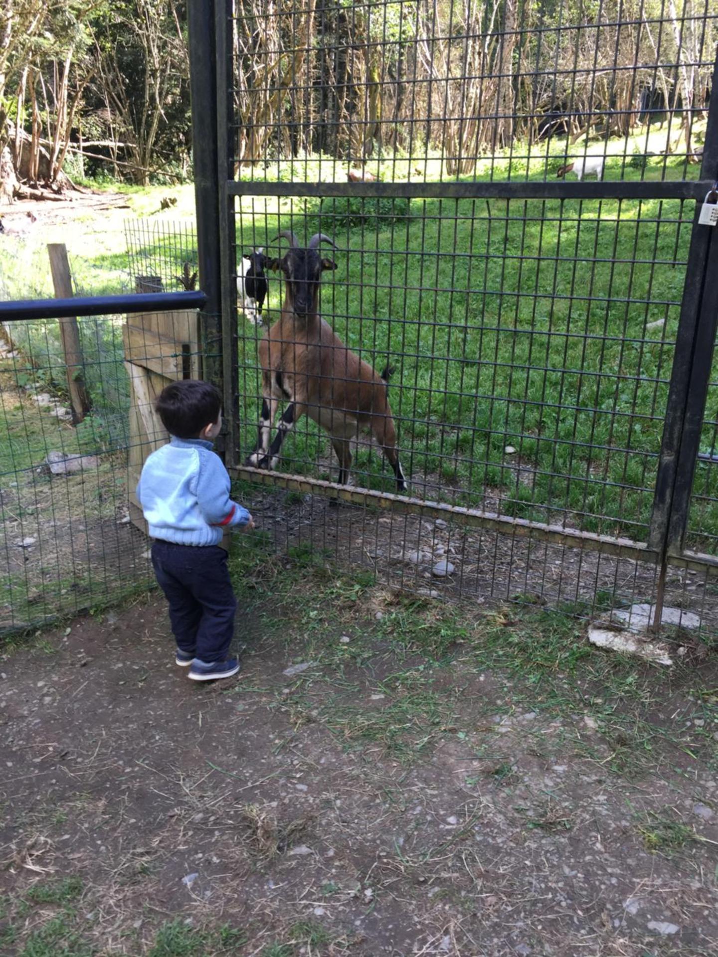 Maison de Marius et Maison d Amelie