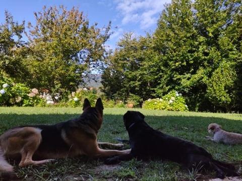 O Lughar Darriba Fogar Natural