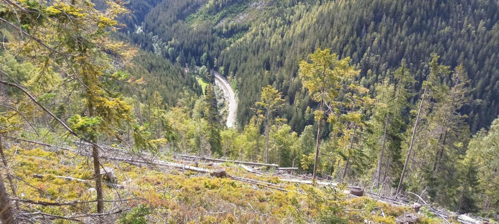 Pobyt v Krkonoších v blízkosti Pece pod Sněžkou