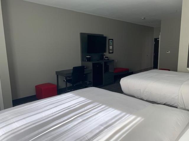 Queen Suite with Two Queen Beds - Non-Smoking