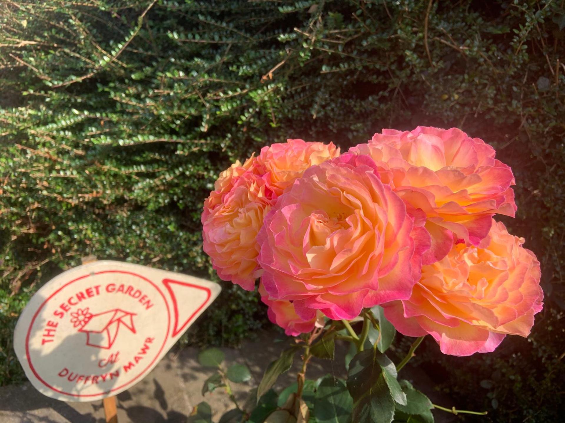 Property logo or sign