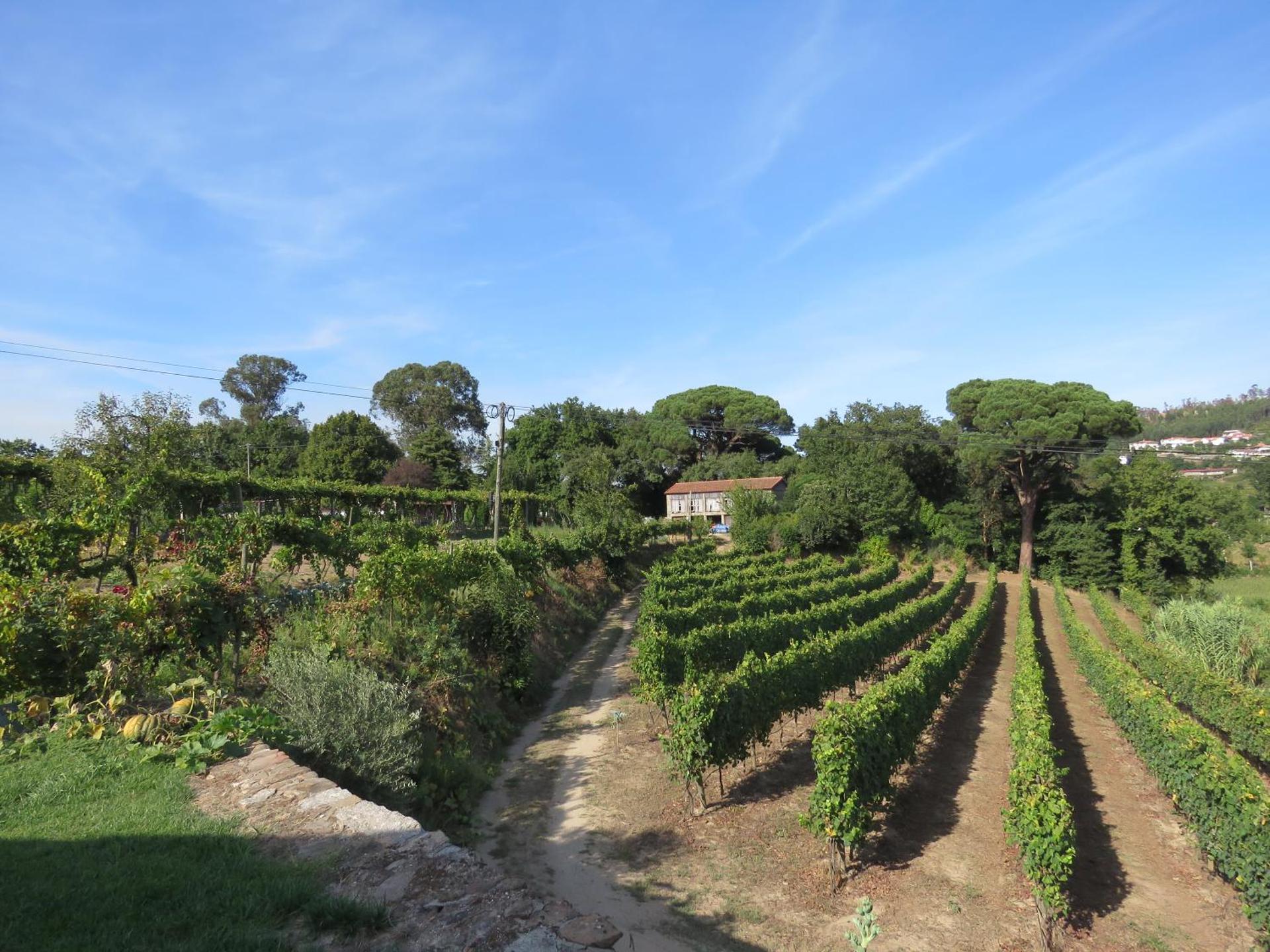 Paco de Pombeiro - Turismo de Habitacao