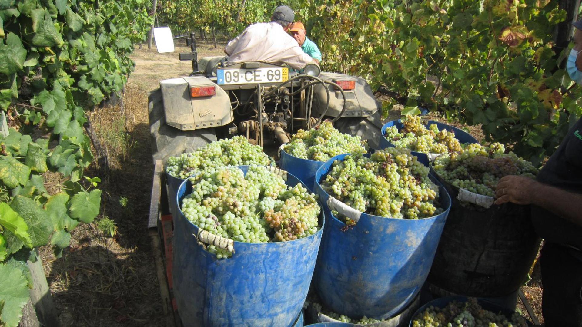 Paco de Pombeiro - Turismo de Habitacao