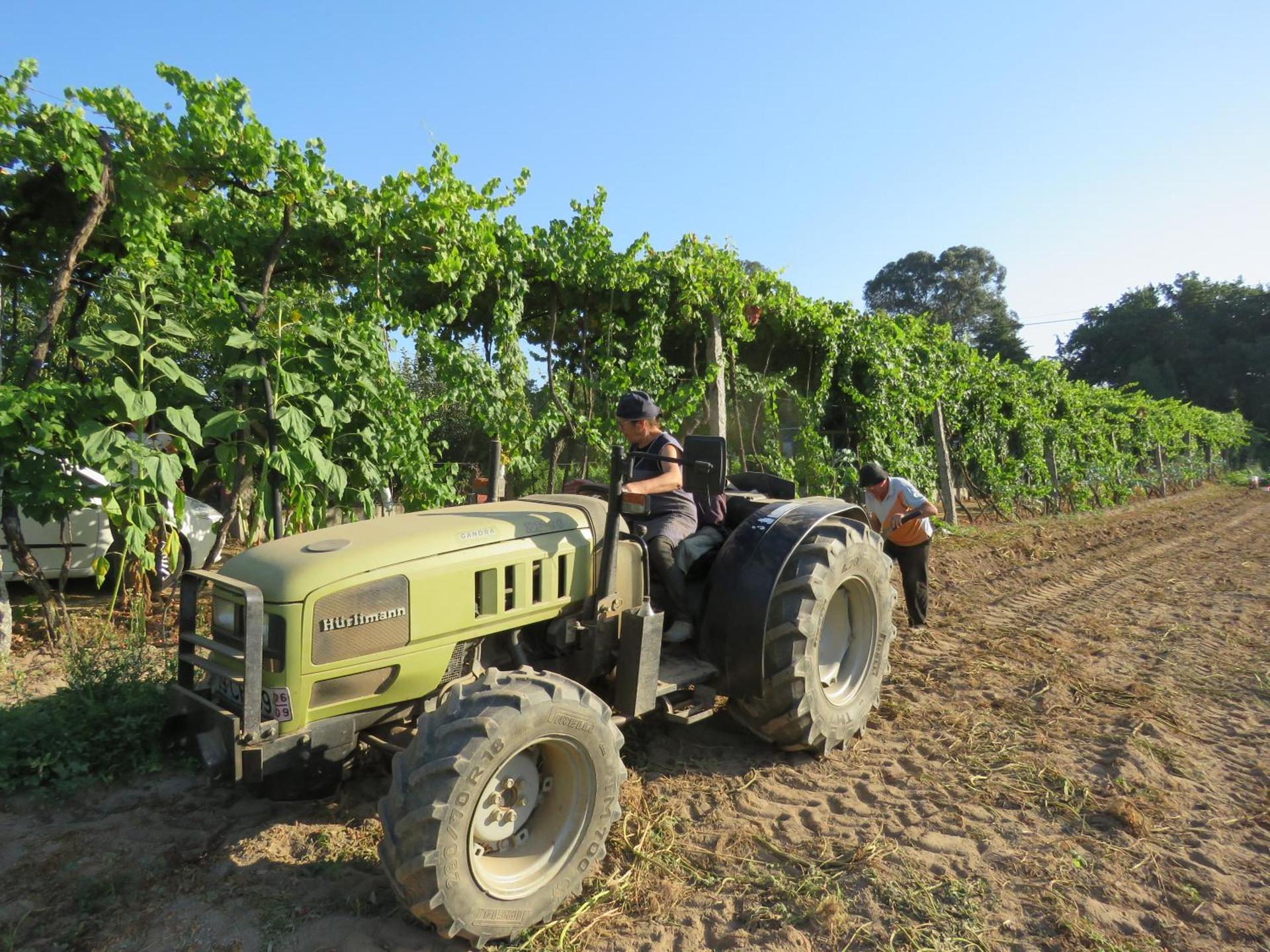 Paco de Pombeiro - Turismo de Habitacao