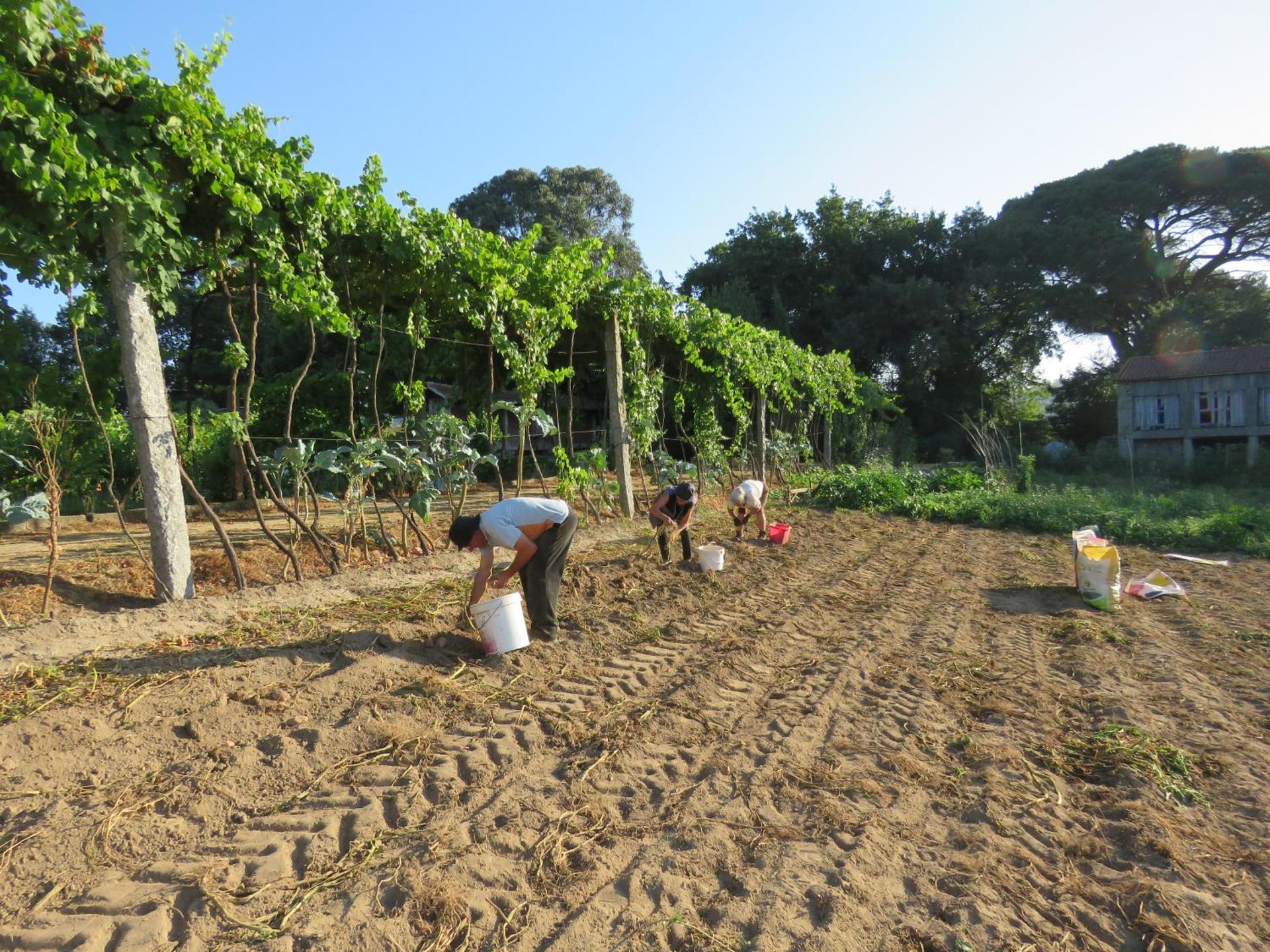 Paco de Pombeiro - Turismo de Habitacao