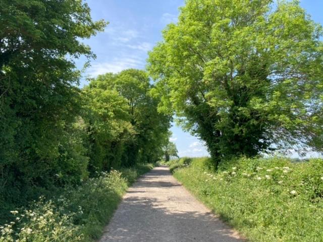 Rutherford Apartment