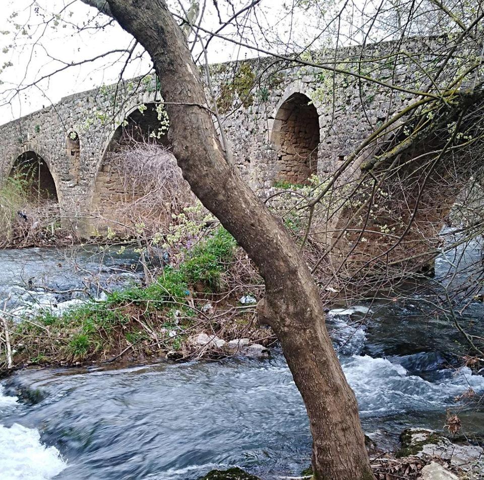 ΕΥμορφο σαν παραμύθι ΑΜΥΓΔΑΛΙΑ