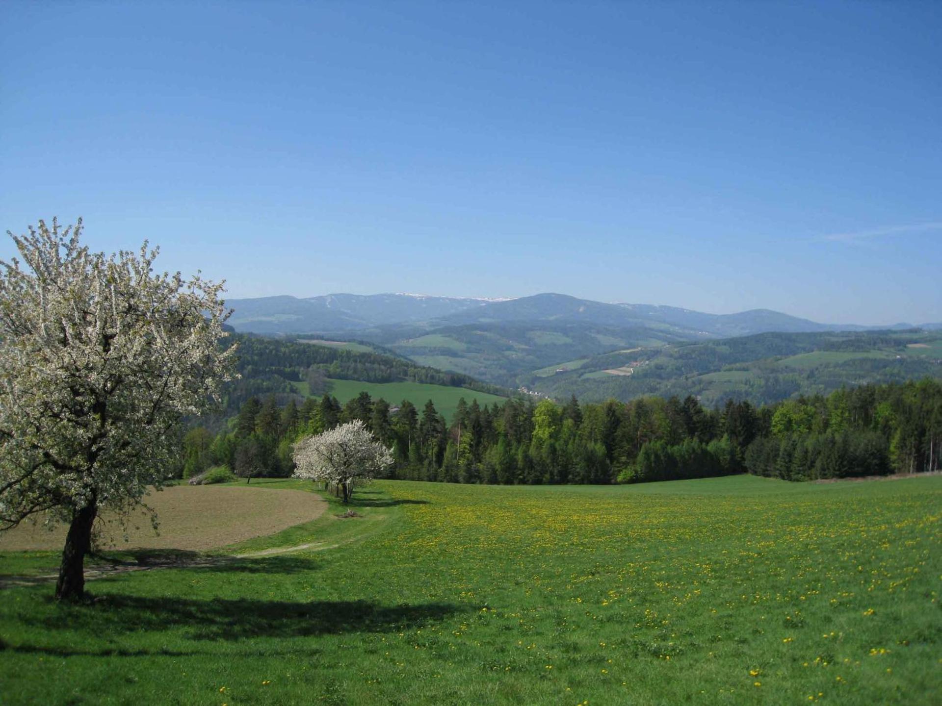 View (from property/room)