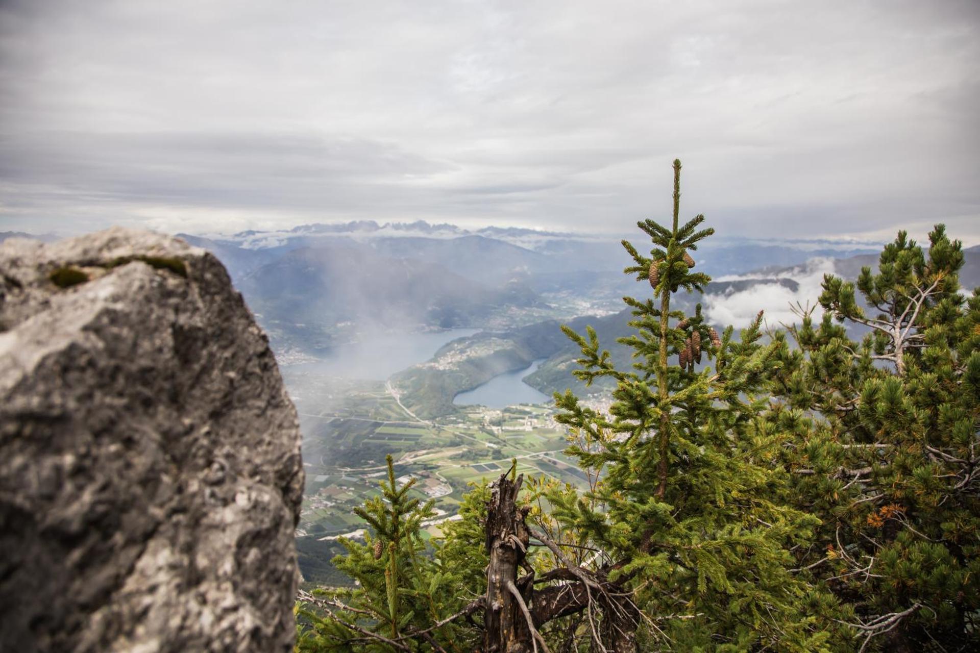Trentino Apartments - Casa Moser