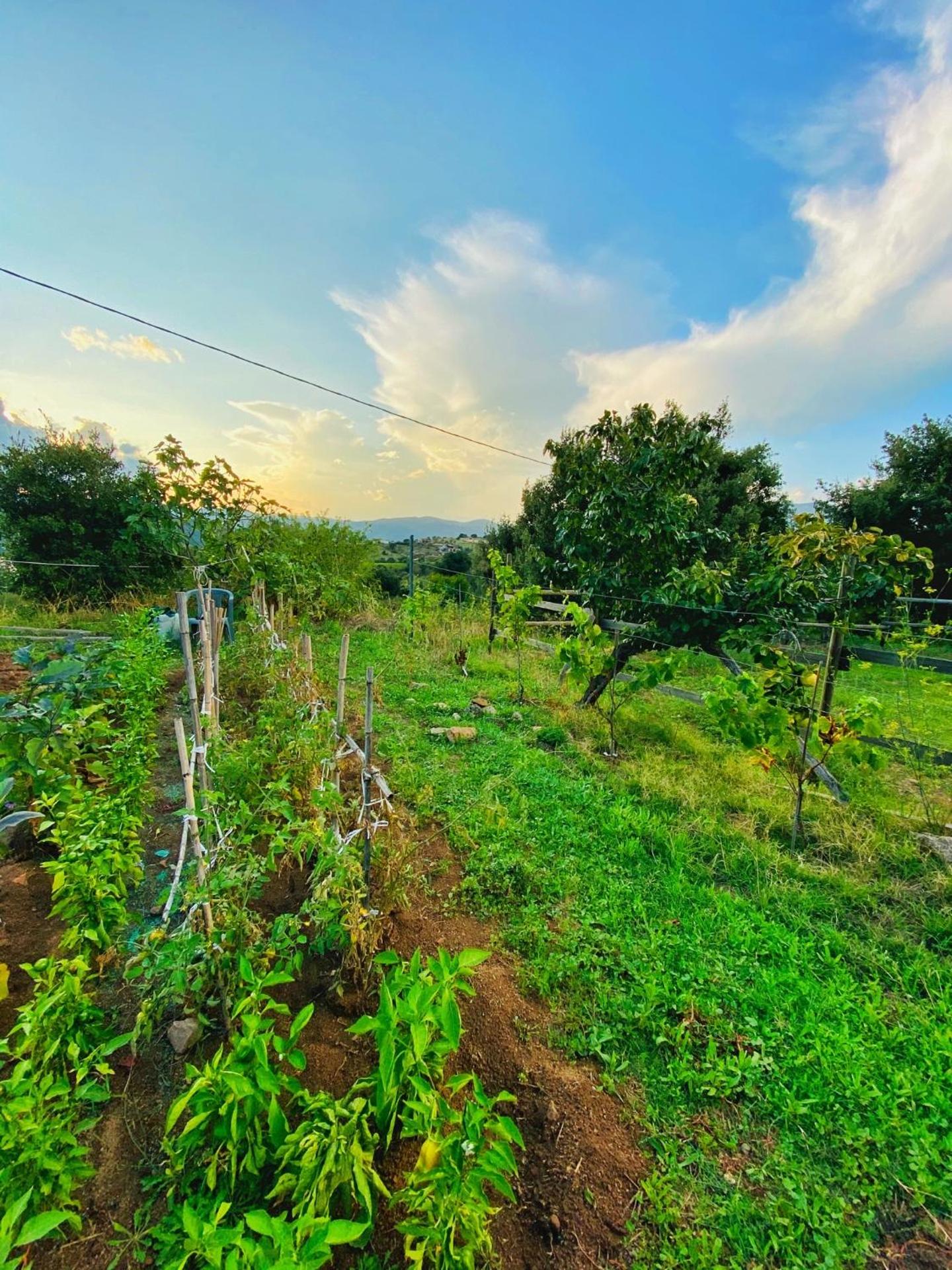 Locanda Tipica Sa Corte