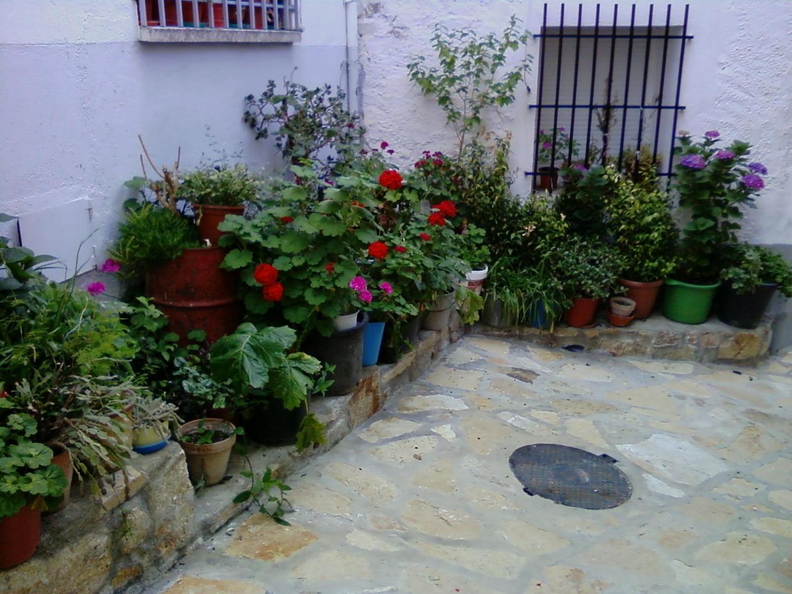 Apartamento Turístico Cervantes 18