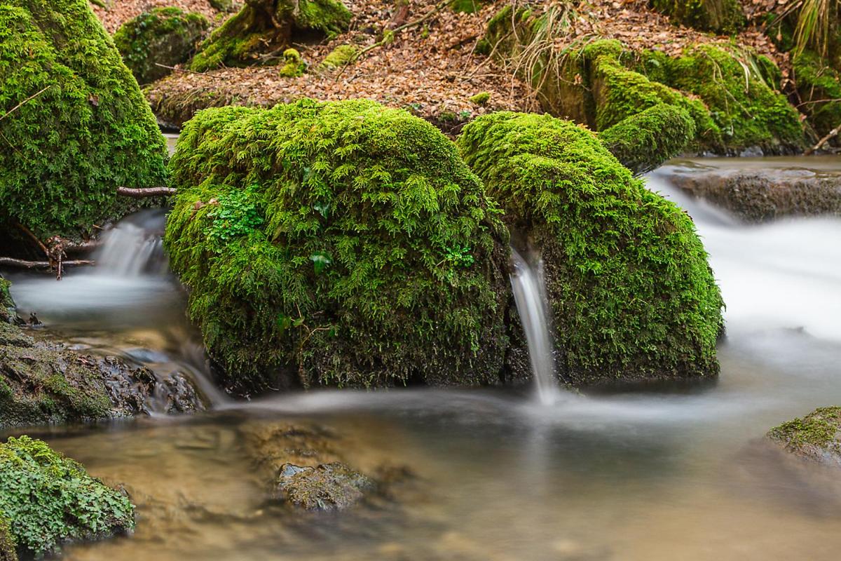 Landgasthof Hieren Mühle