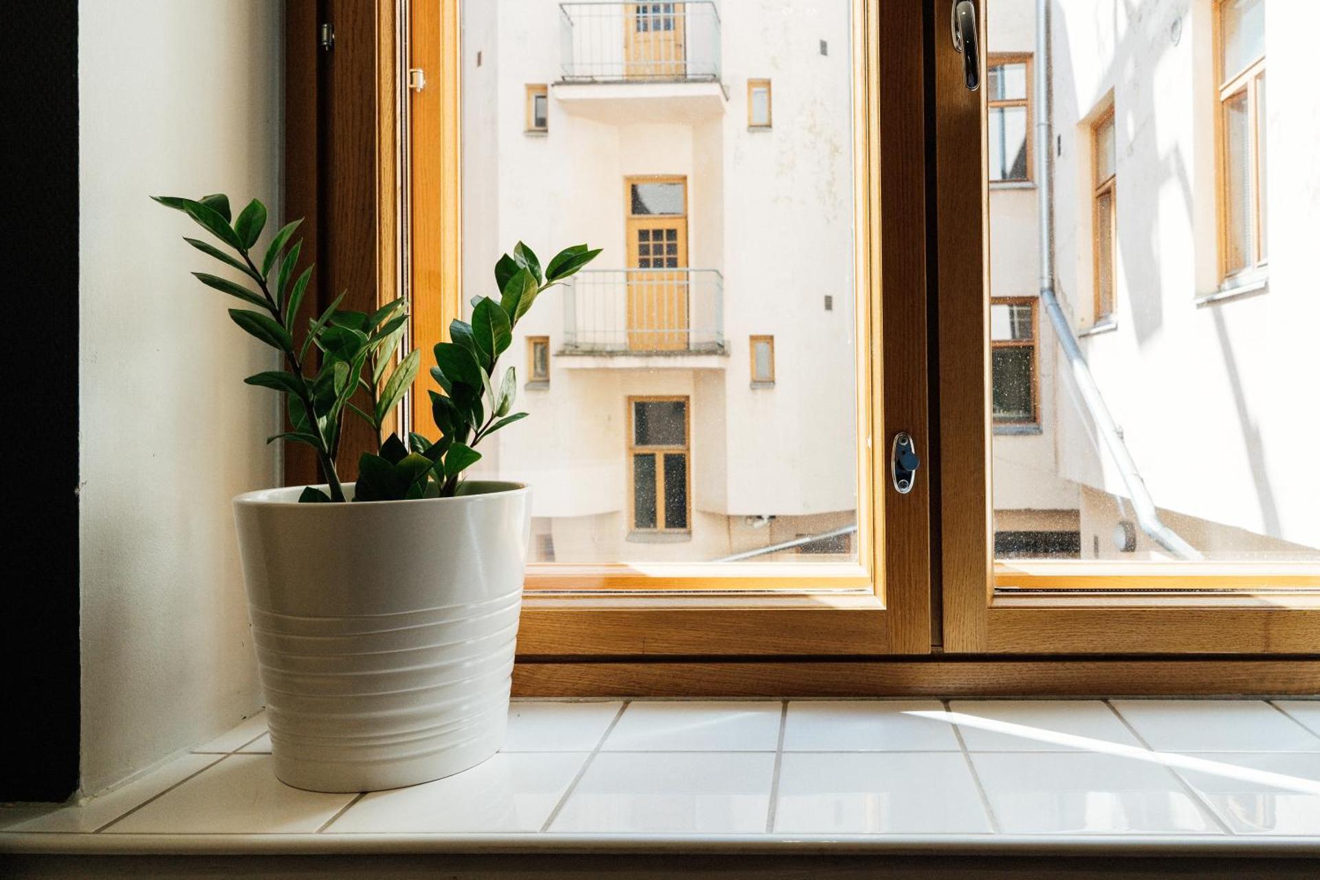 Bed in 8-Bed Female Dormitory Room