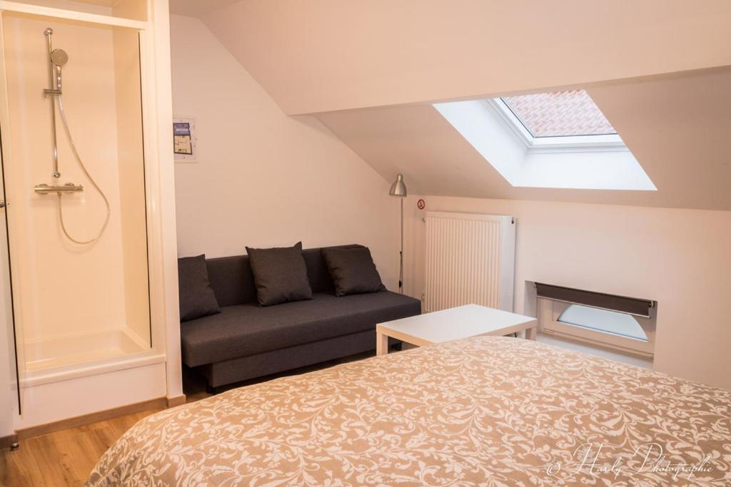 Les gîtes du Broukay - Hirondelle