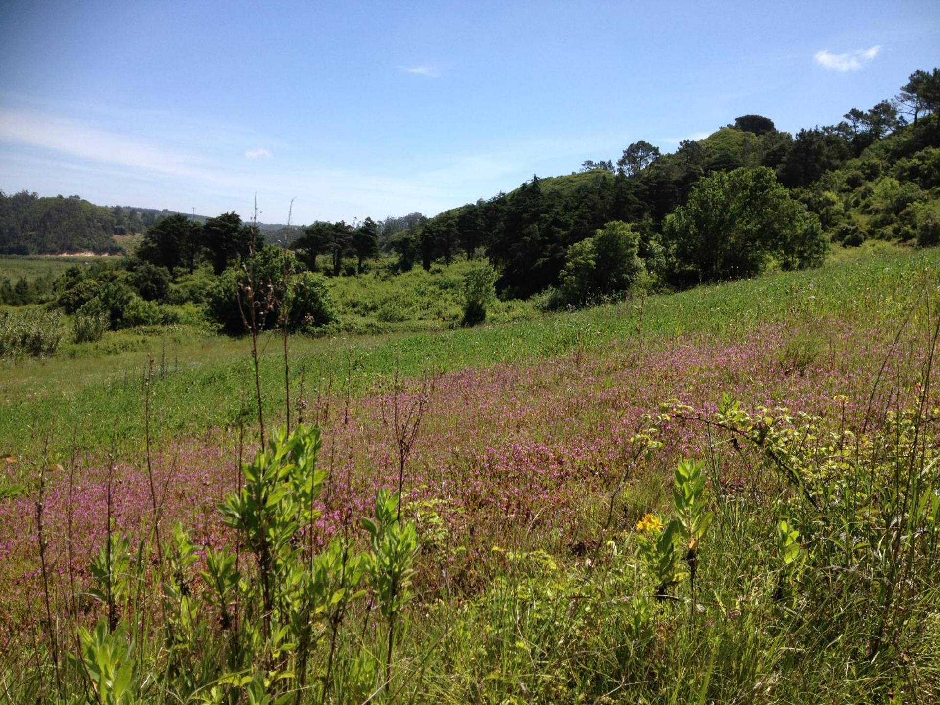 Rio d'Azenha - Country House