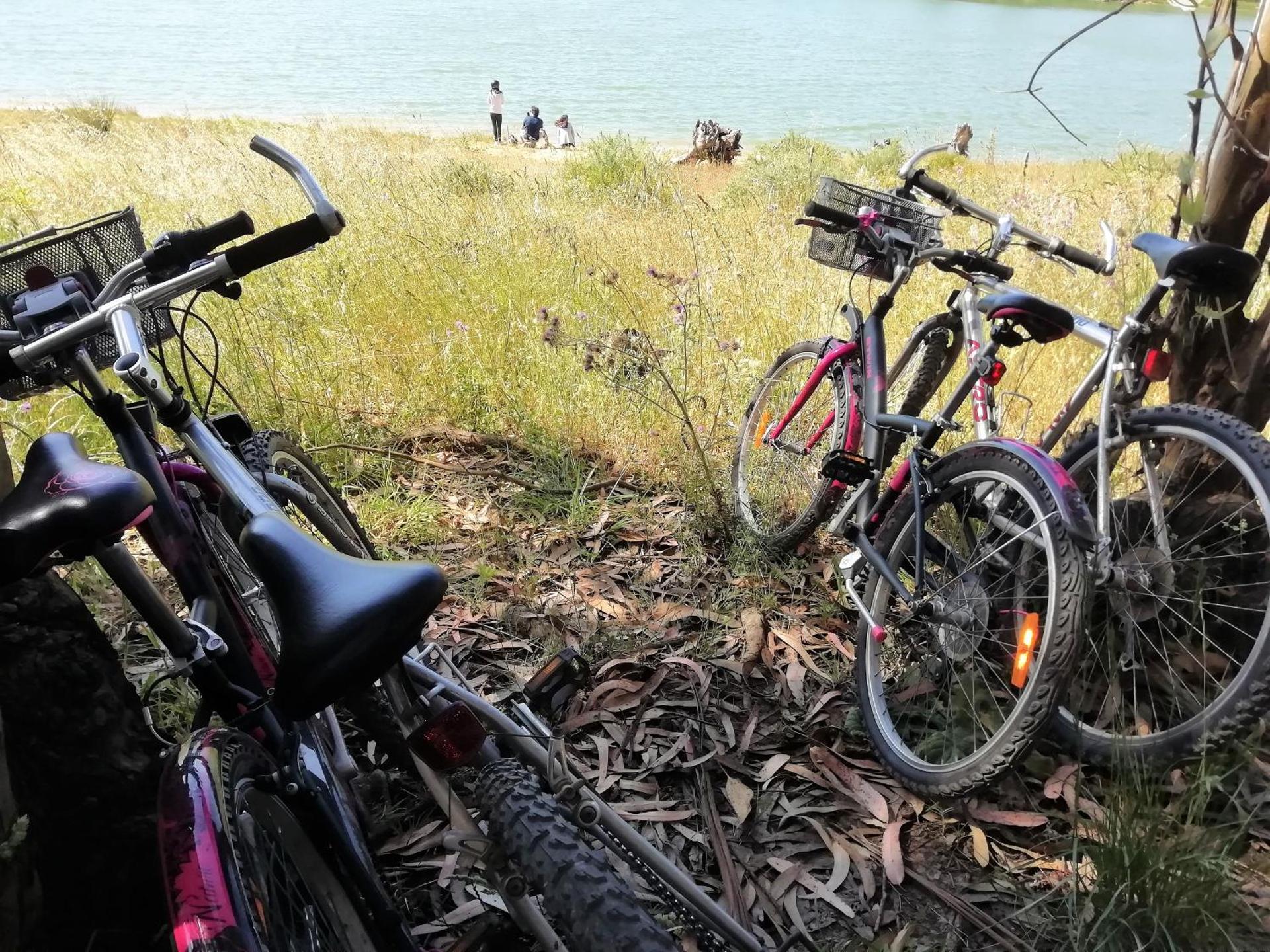 Rio d'Azenha - Country House