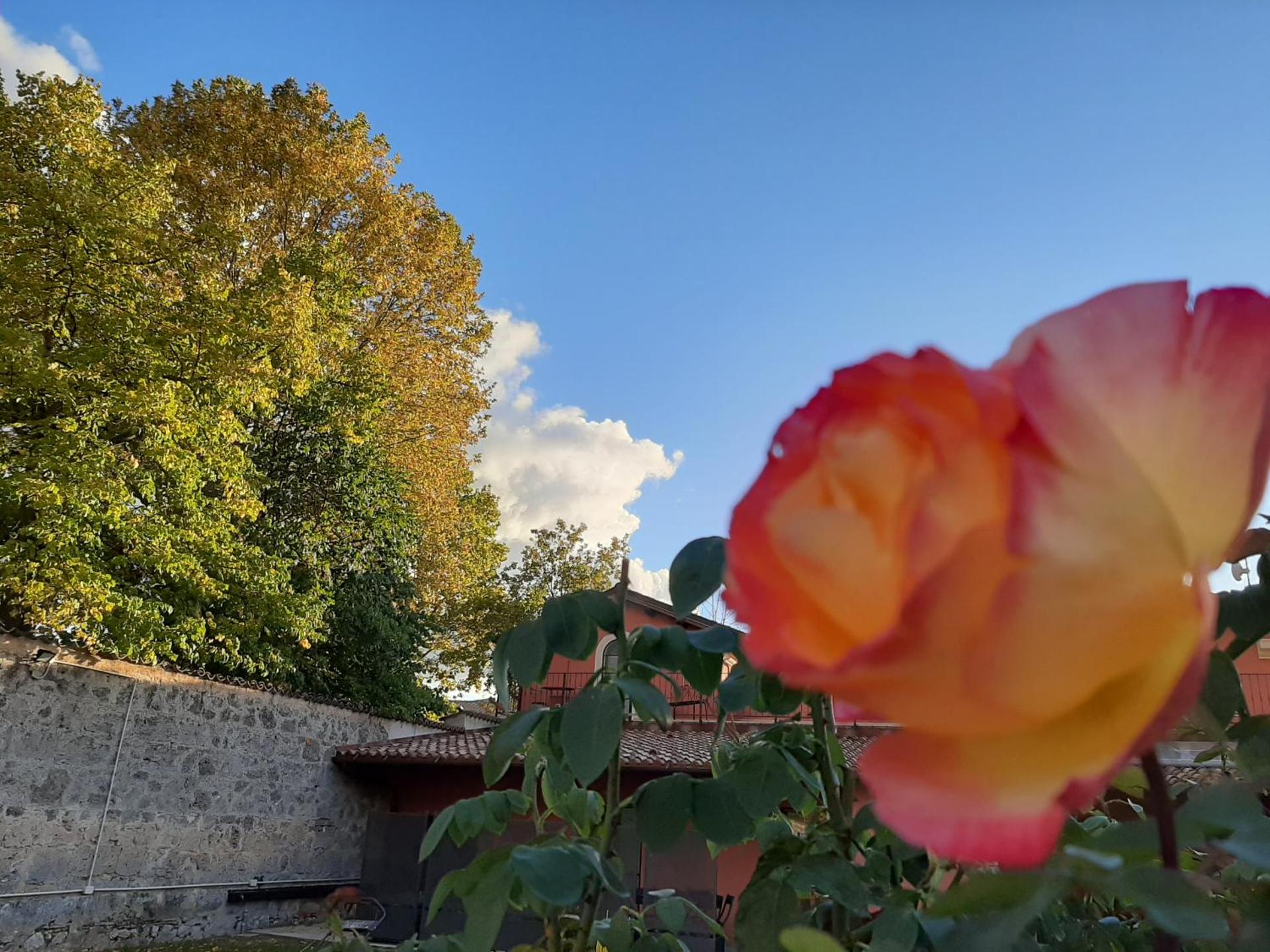 Affittacamere Il Tiro a Segno