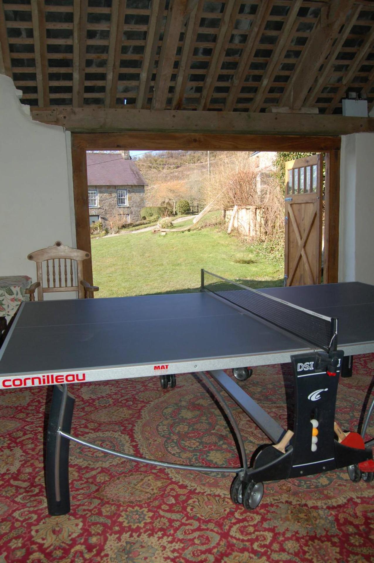 Table tennis