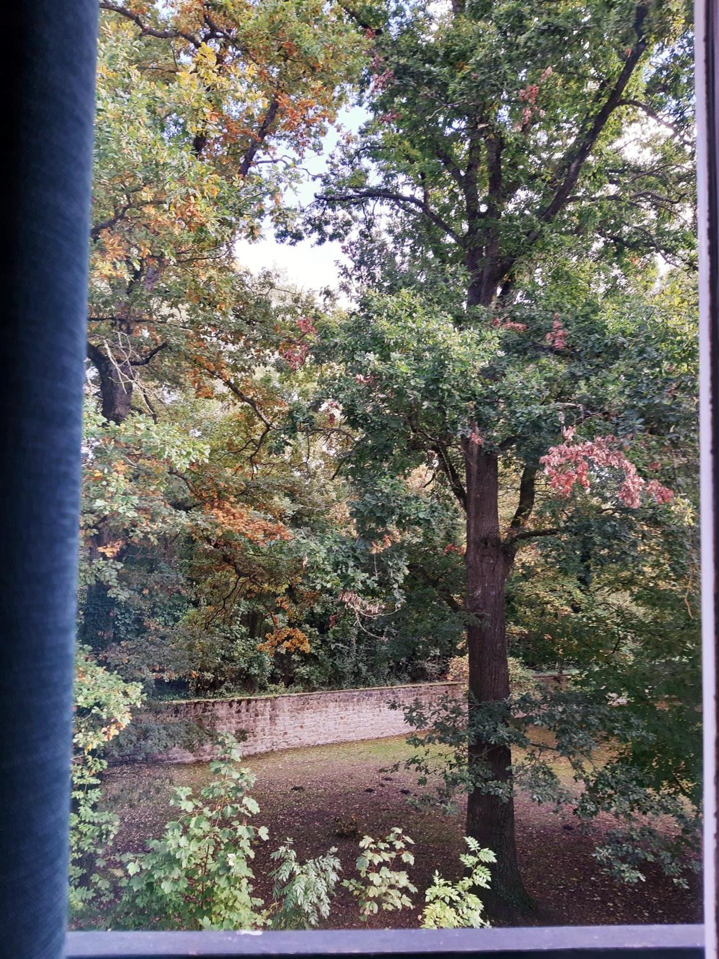 Wool INN Studio in the Forest