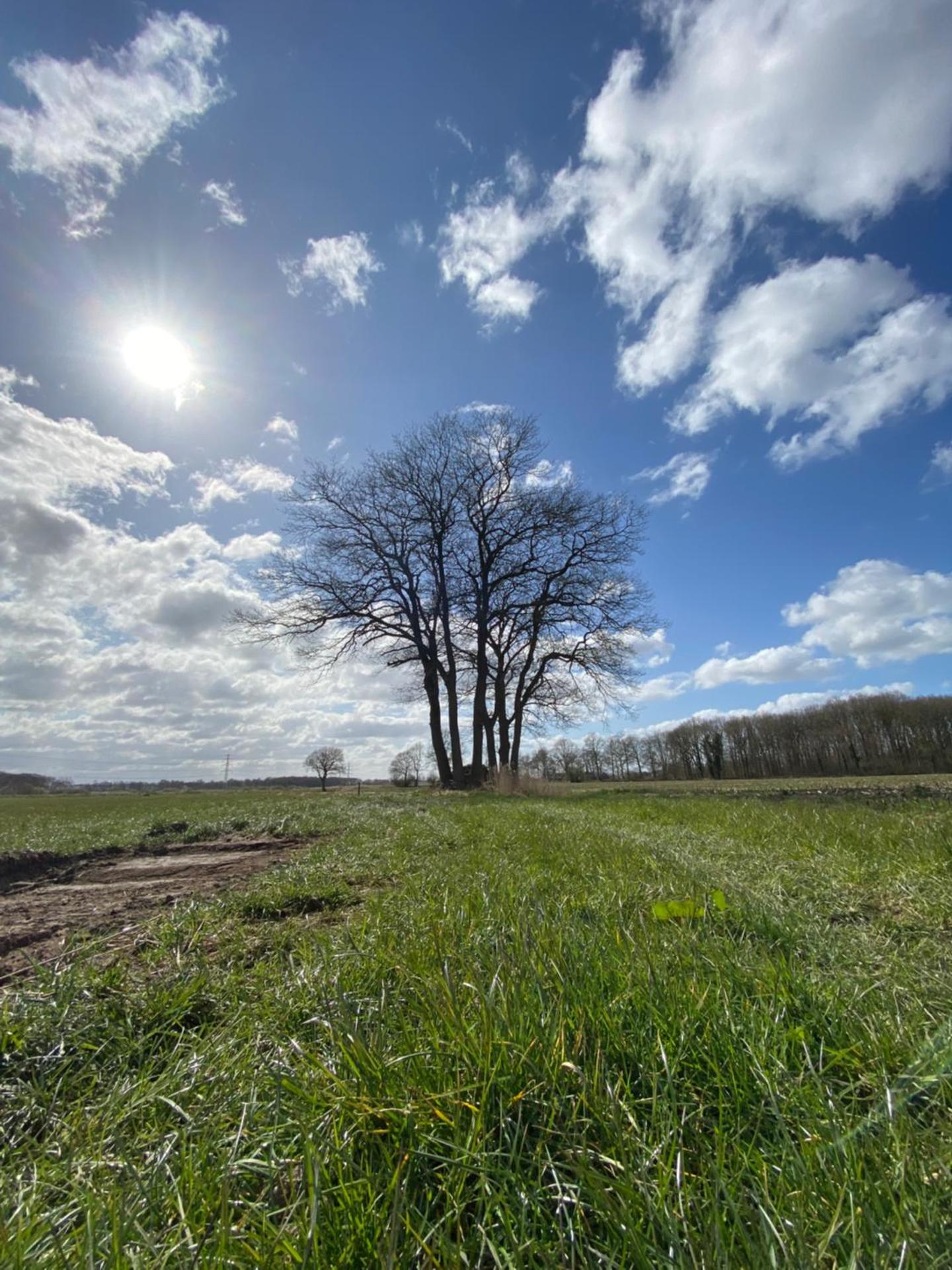 De Vijverkamer-----privé diner op de kamer mogelijk!!