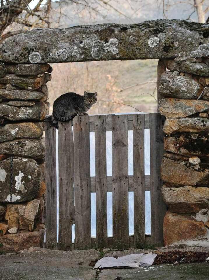 La Quinta Del Chocolatero