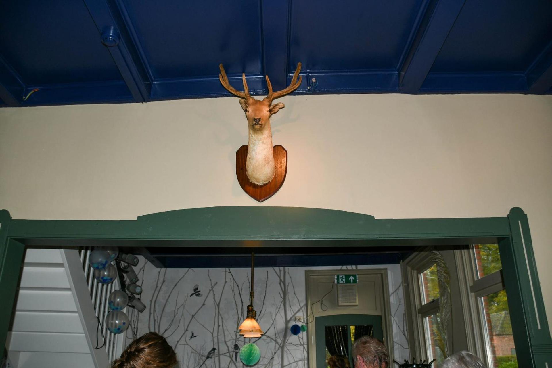 B&B Herberg Foestrum