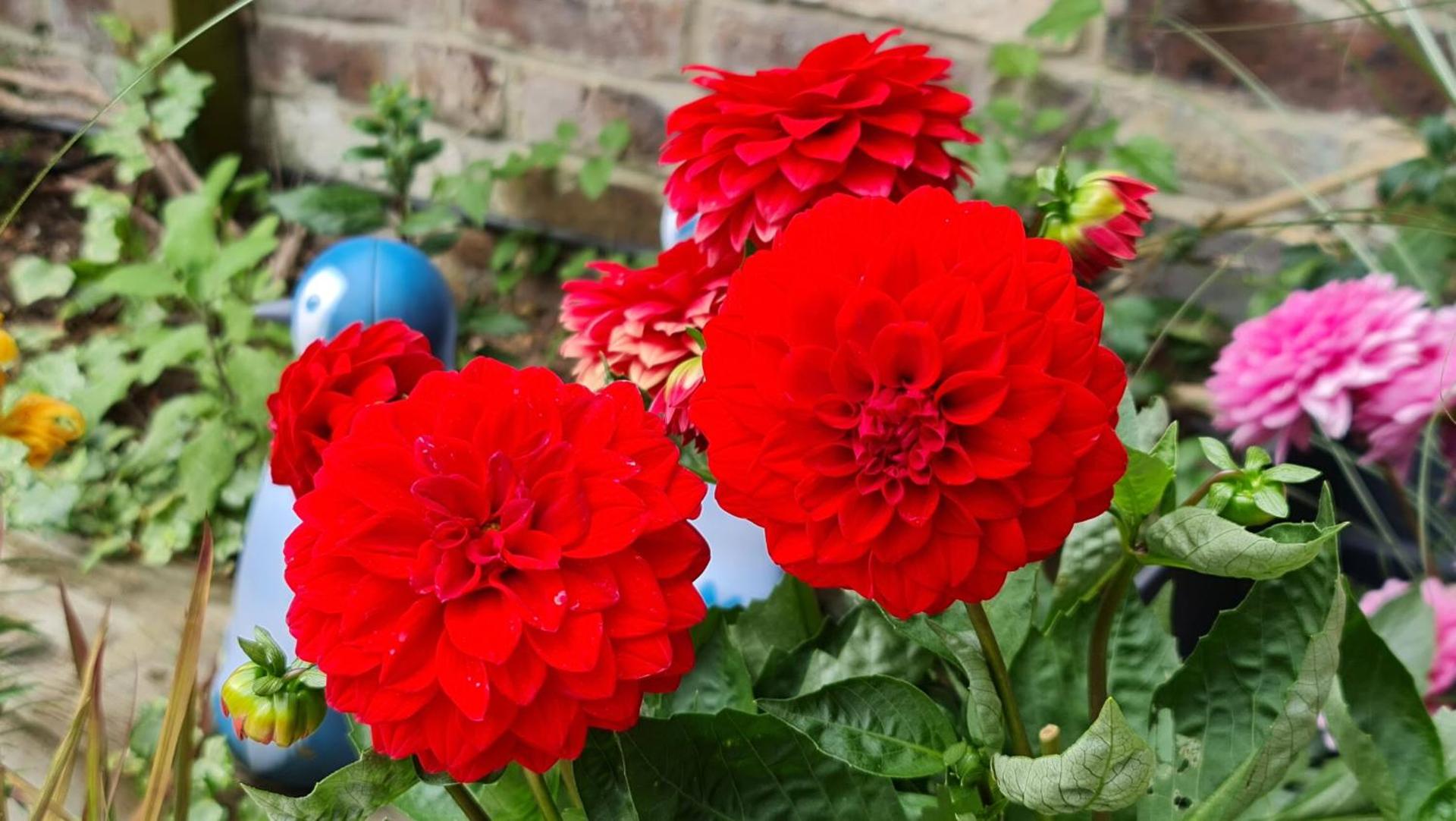 Cottage Grove Homestay rooms