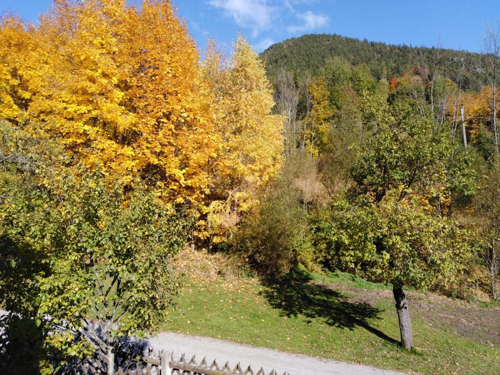 Ferienhaus Bauer Wohnung 2