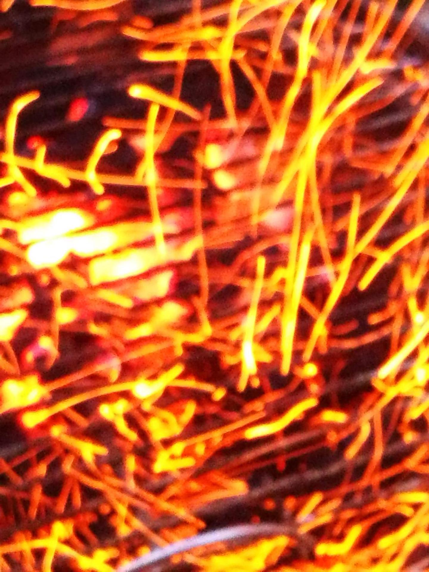 Agriturismo Tenuta La Muratella