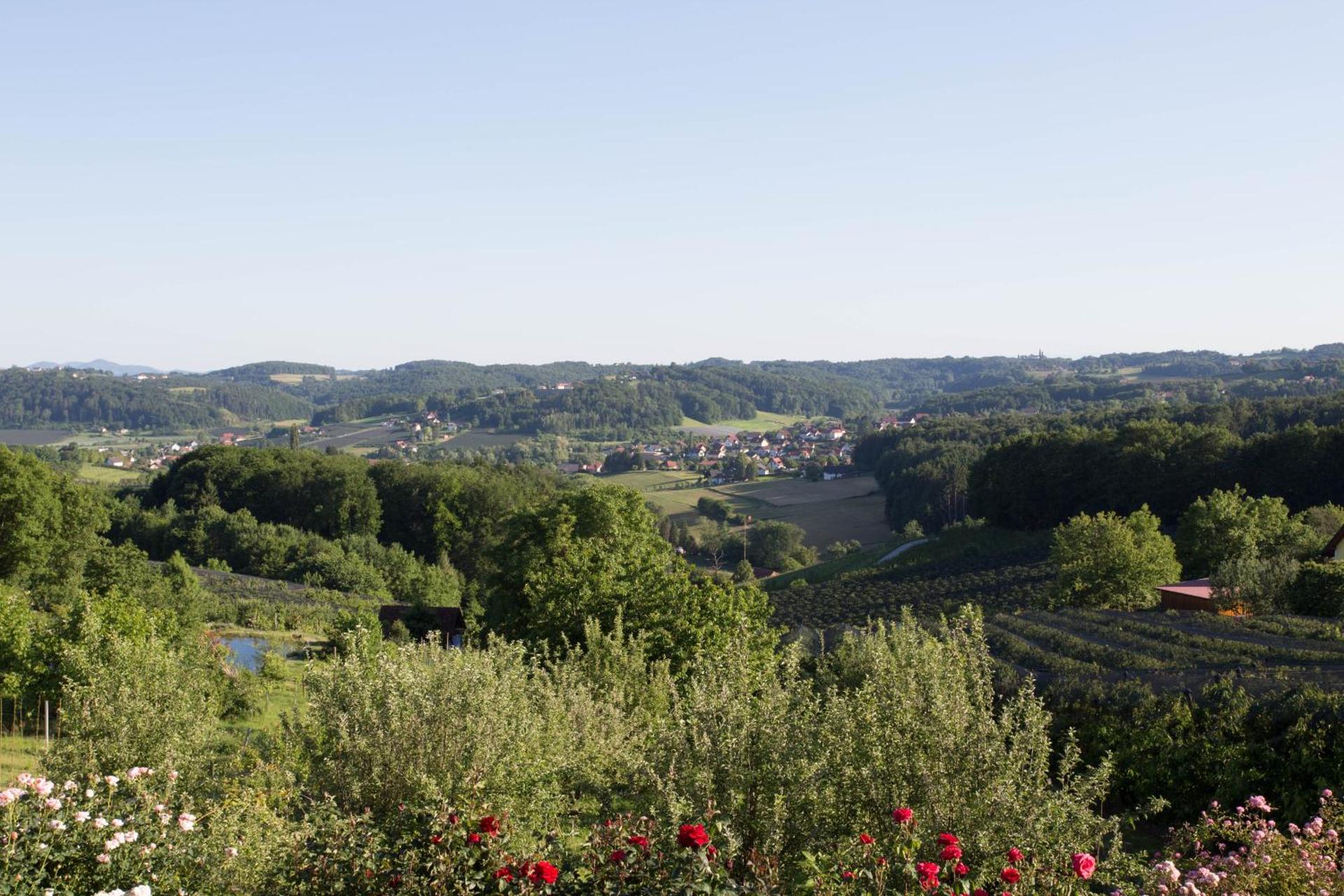 View (from property/room)