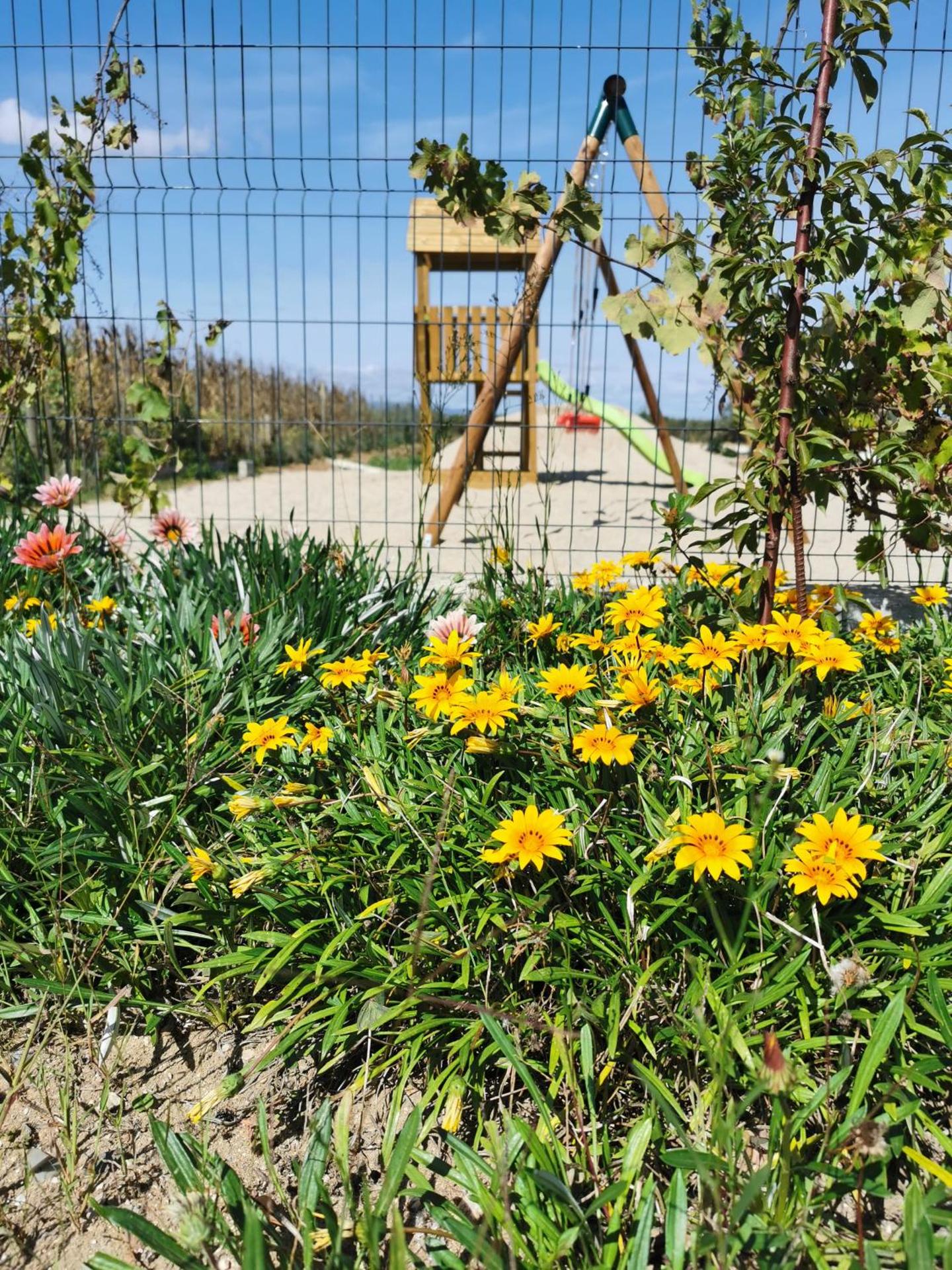 Children play ground