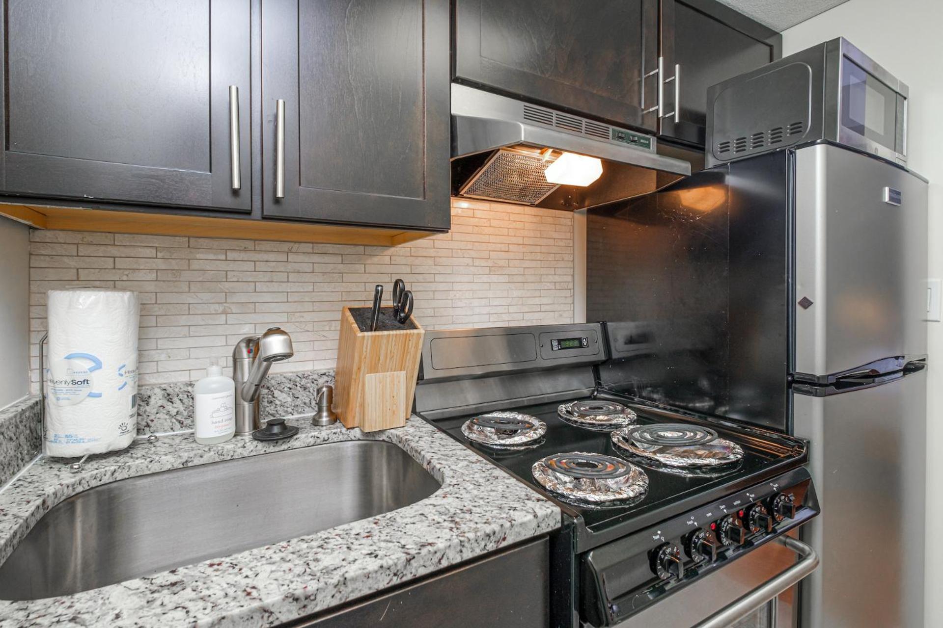 Furnished Apartment in Downtown