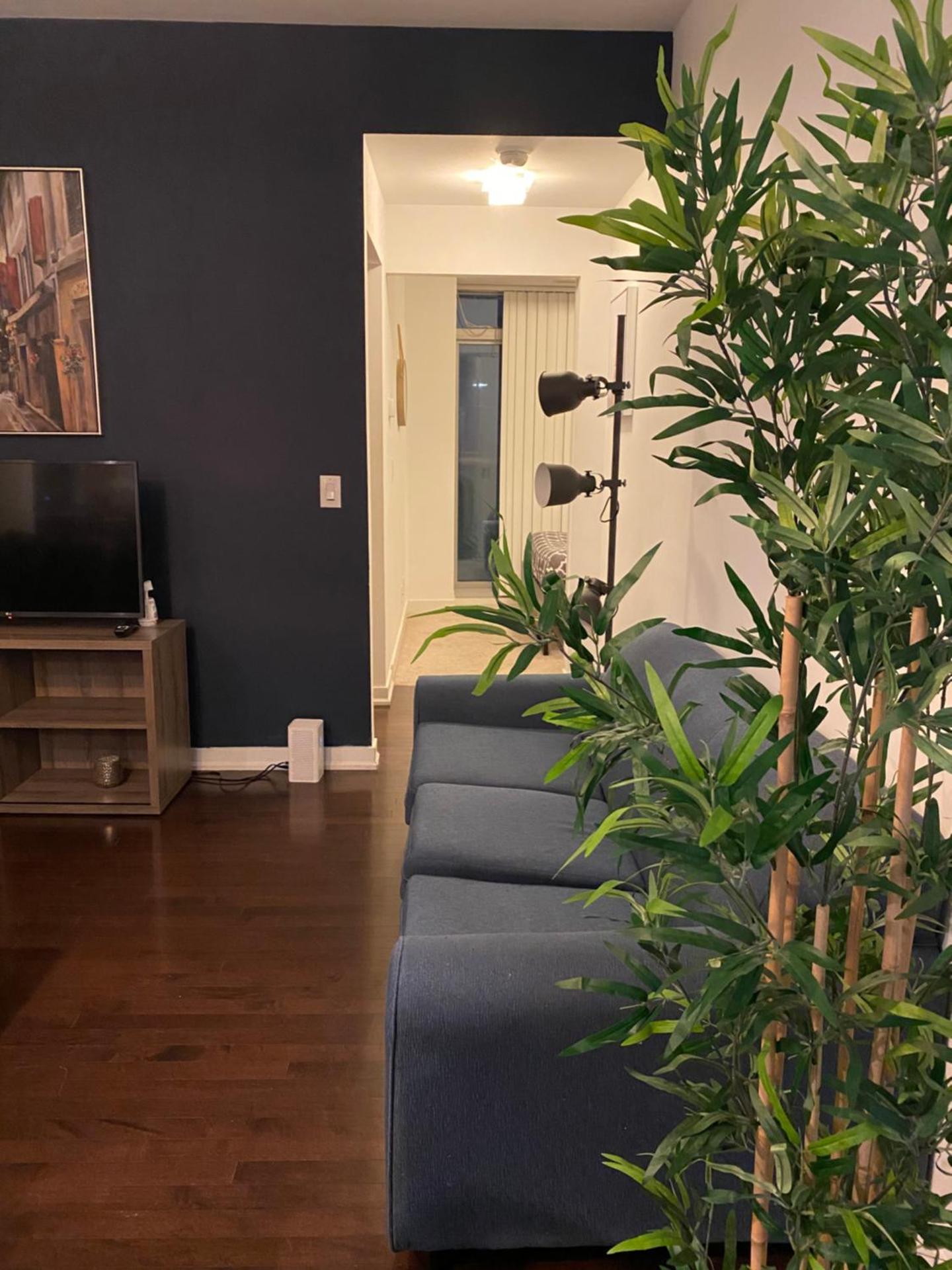 Stylish Condos Toronto