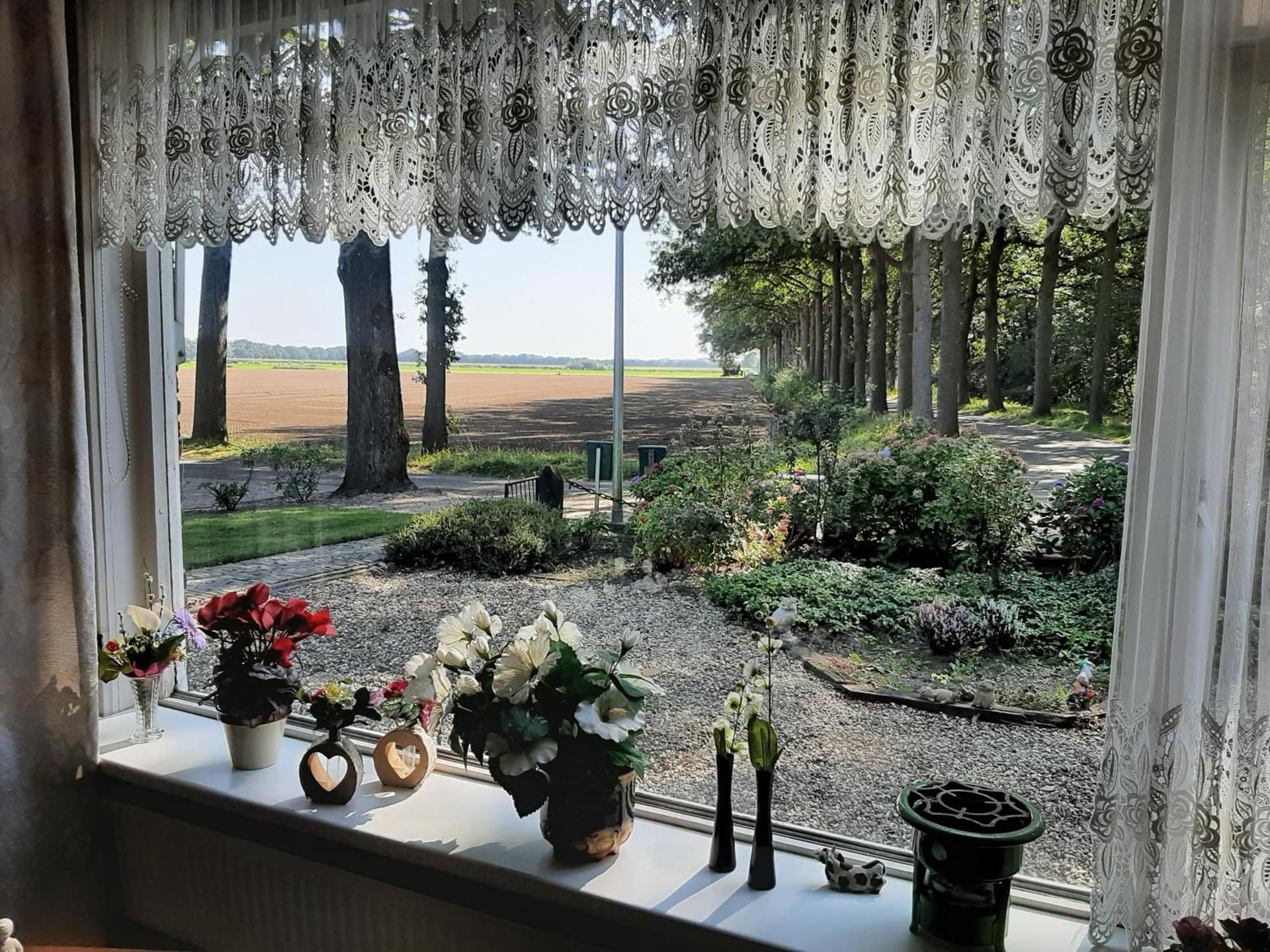 View (from property/room)