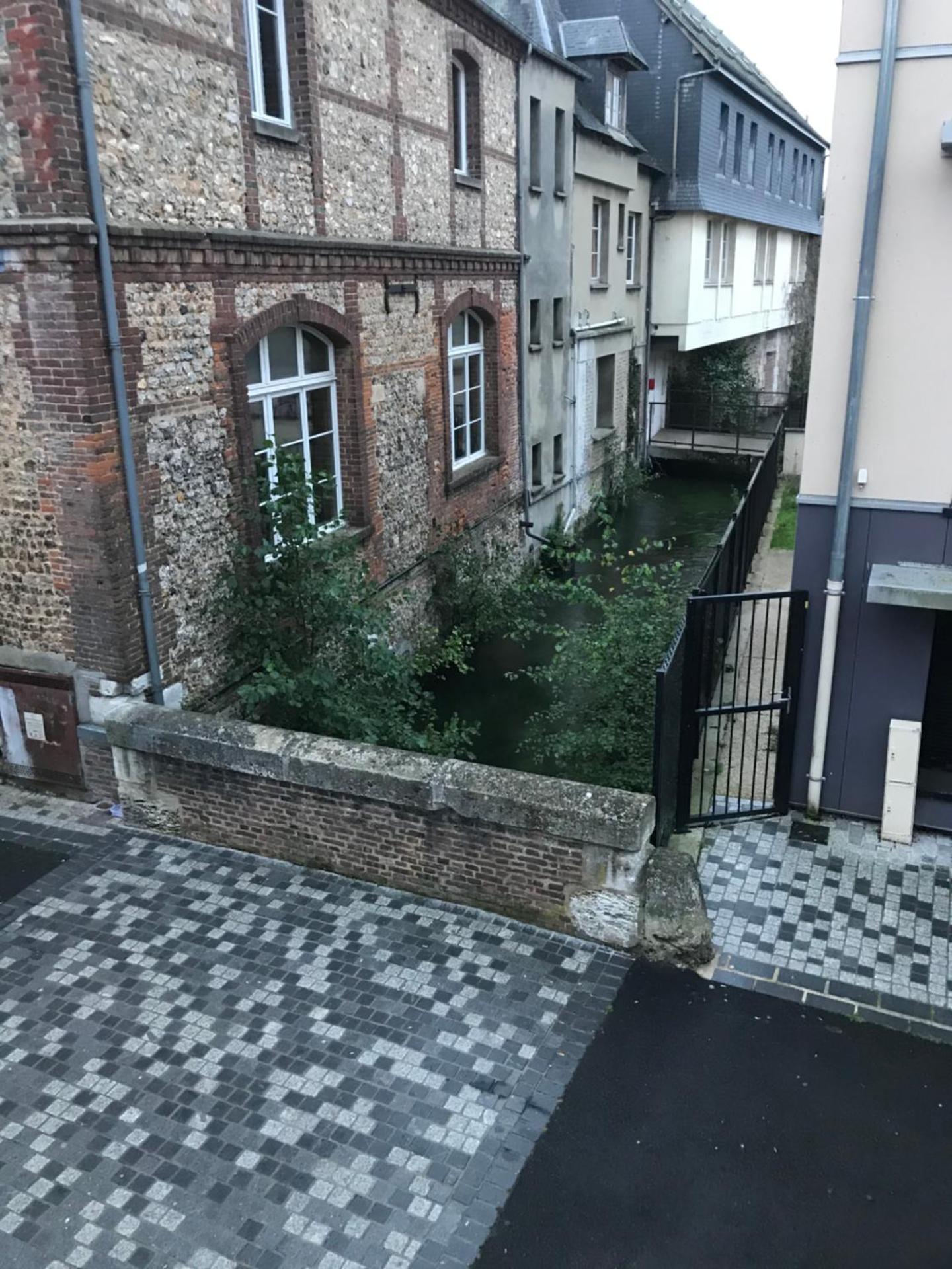 la licorne { T2 tous confort} centre ville