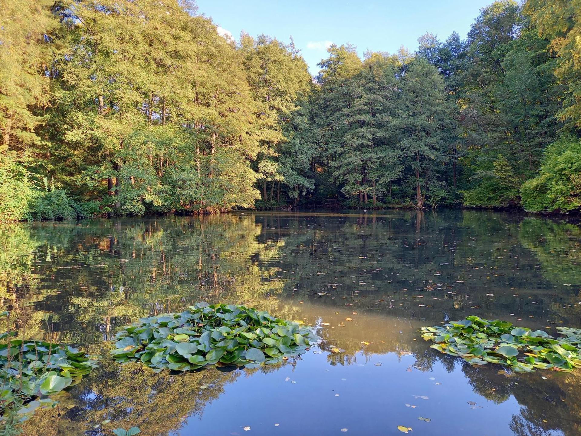 Ferienwohnung am Waldsee mit Schwimmbad